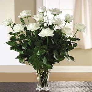 Boonton Florist | 12 White Roses 