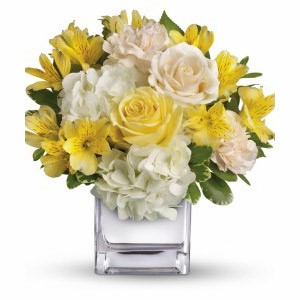 Boonton Florist | Bright Collection