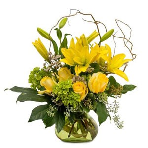 Boonton Florist | Zoe's Delight