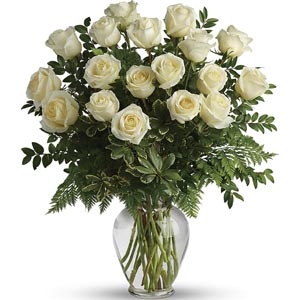 Boonton Florist | 18 White Roses