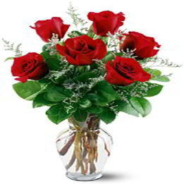 Boonton Florist | Six Red Roses