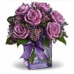 Boonton Florist | 6 Lavendar Roses