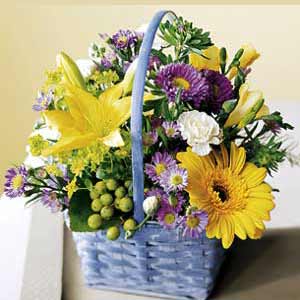 Boonton Florist | Beautiful Basket