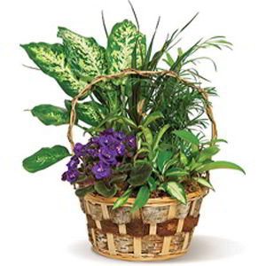 Boonton Florist | Pretty Basket