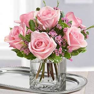 Boonton Florist | 6 Pink Roses