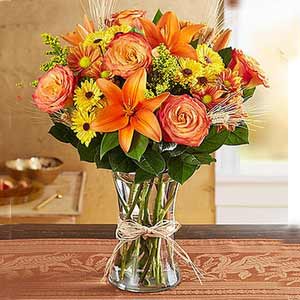 Boonton Florist | Fall Collection