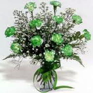 Boonton Florist | Dz Green Carnations