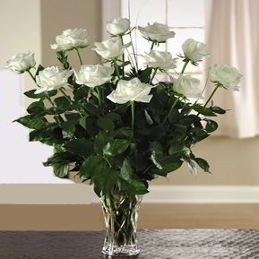 Boonton Florist | 12 White Roses 