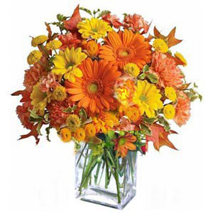 Boonton Florist | Autumn Gathering