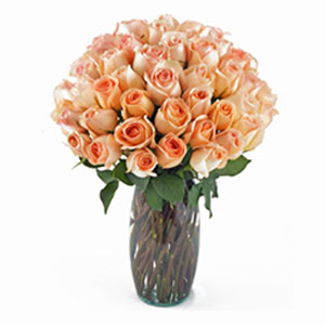 Boonton Florist | 36 Peach Roses