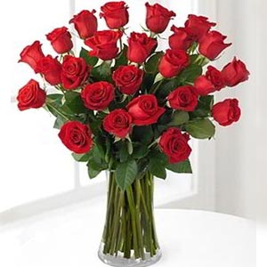 Boonton Florist | 24 Red Roses