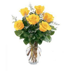 Boonton Florist | 6 Yellow Roses