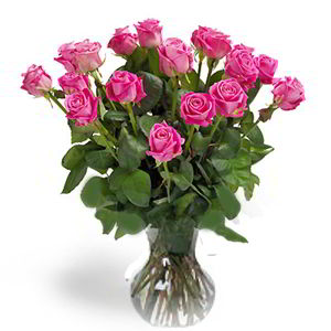 Boonton Florist | 18 Pink Roses